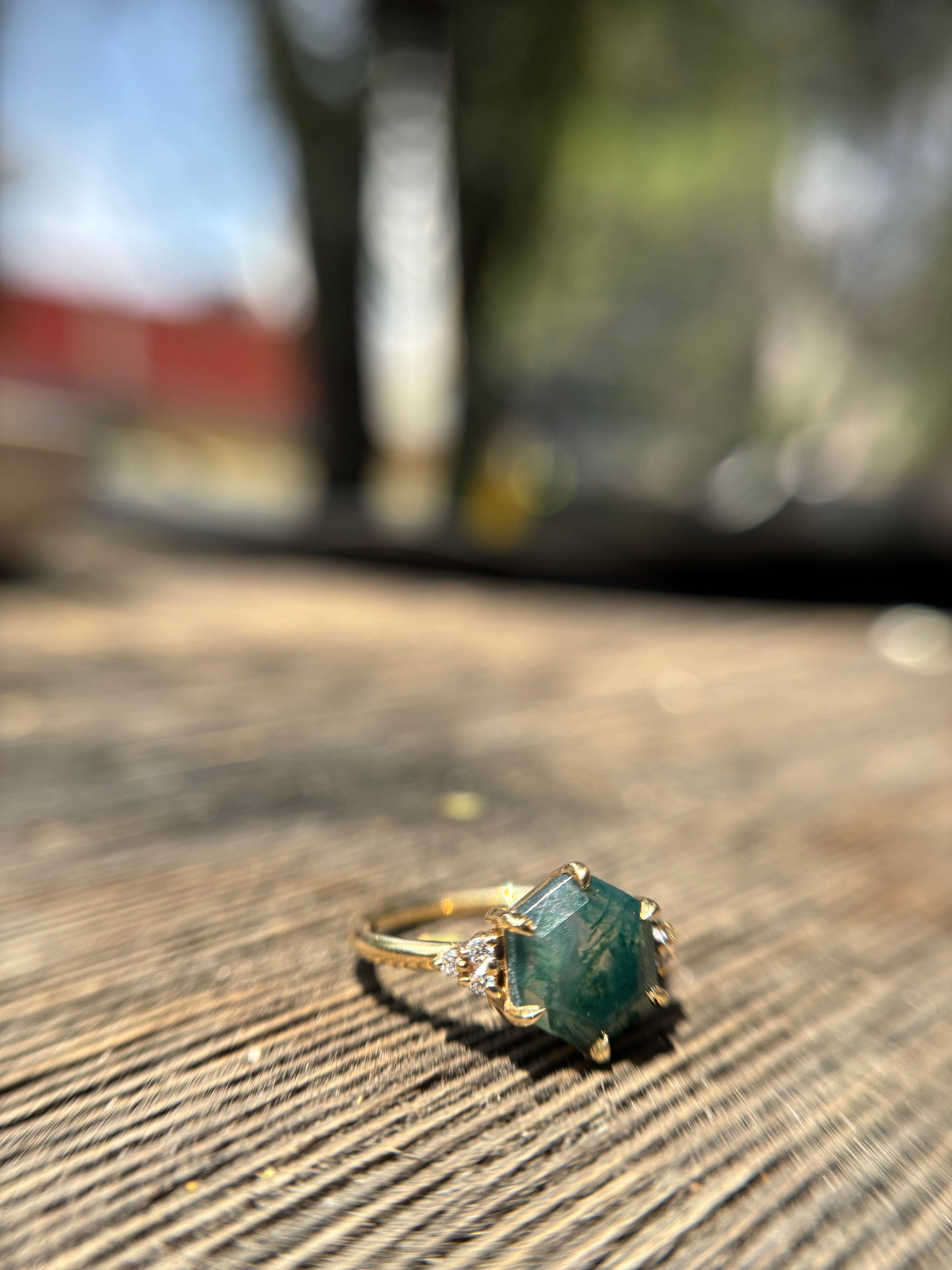 Anillo Musgo