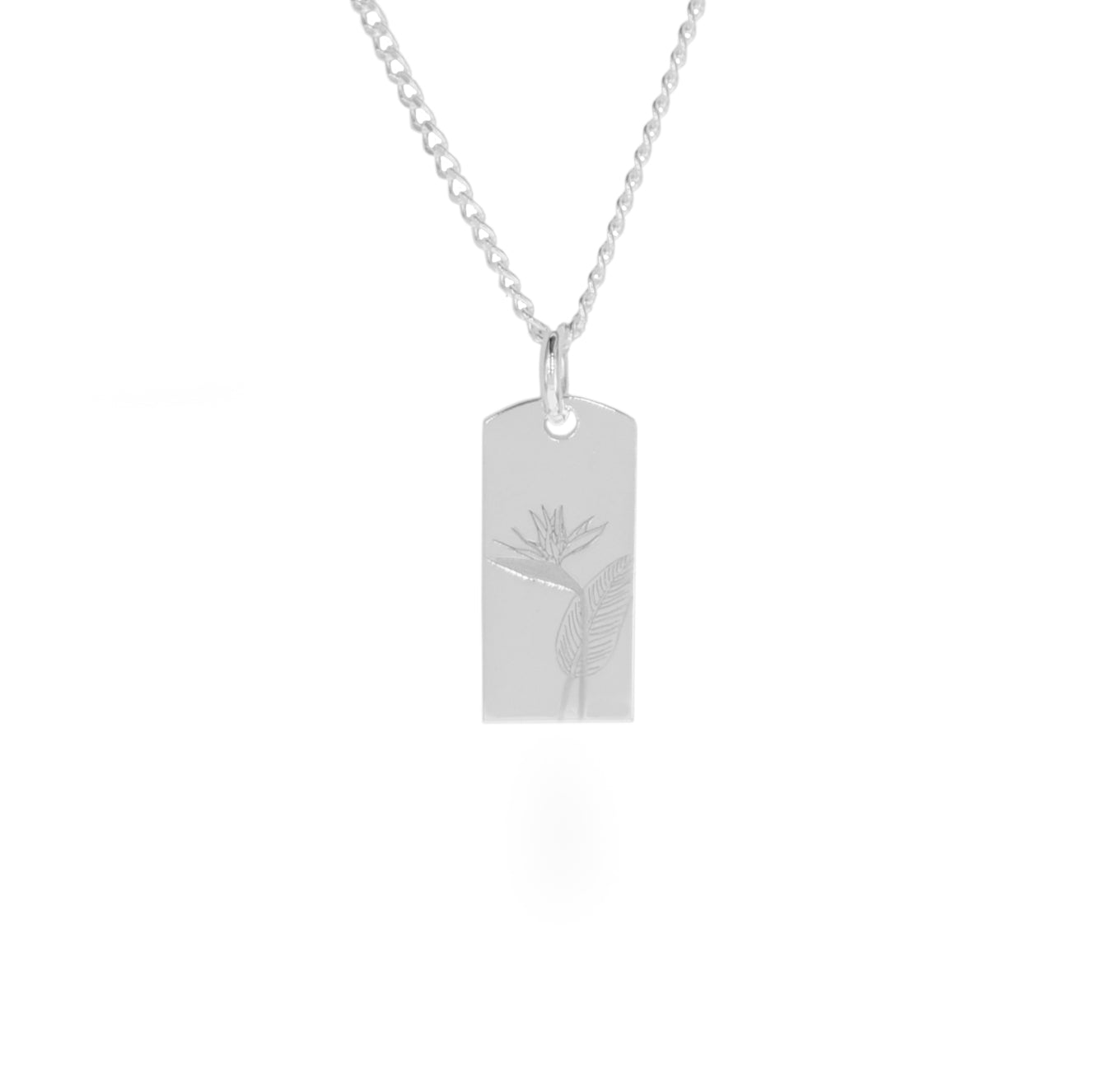 Ave de Paraíso Plata