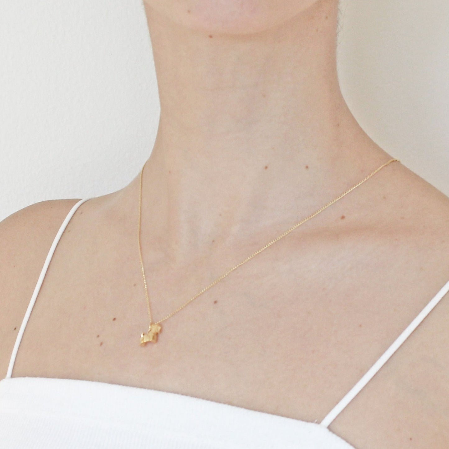 collar schnauzer oro 14K en modelo