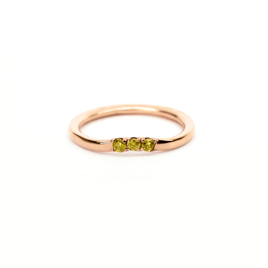Anillo Curvo 3