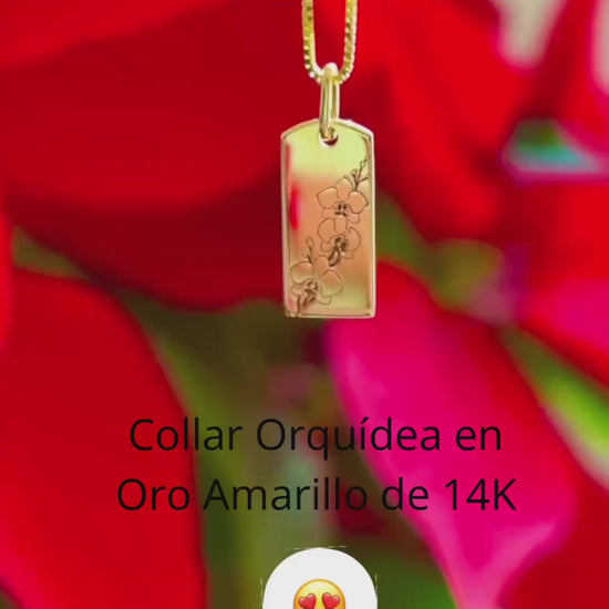 video collar orquídea
