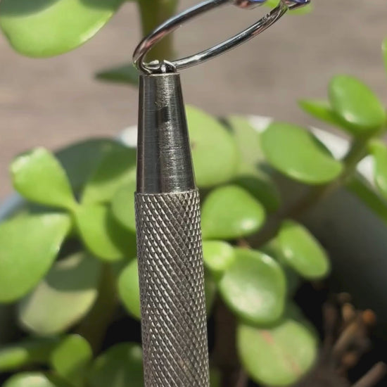Video Anillo  Grillete