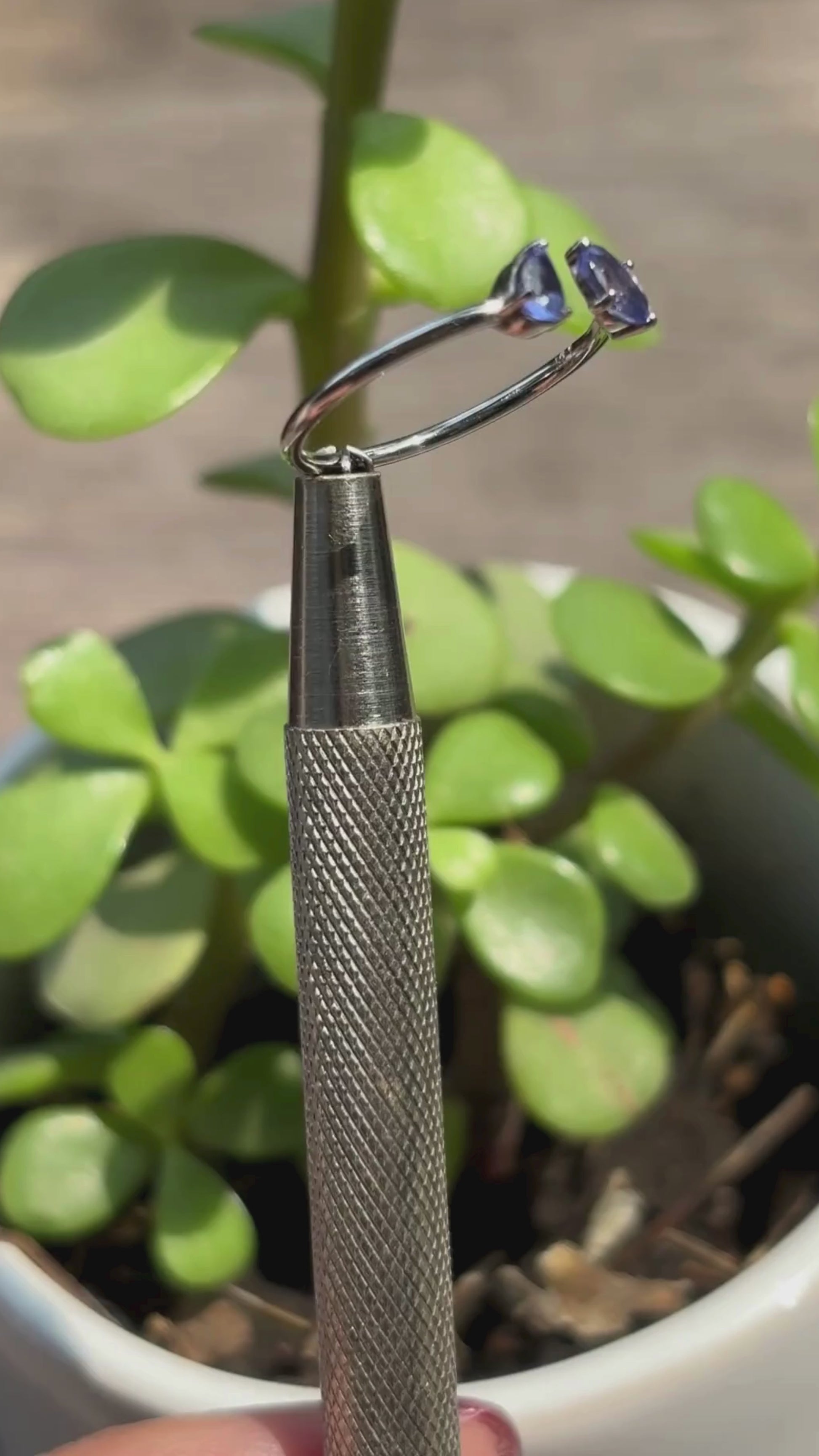 Video Anillo  Grillete