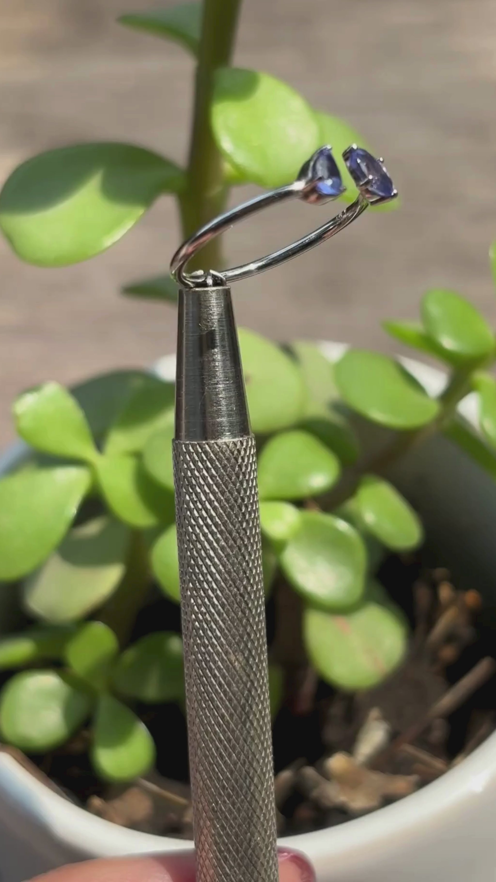 Video Anillo  Grillete