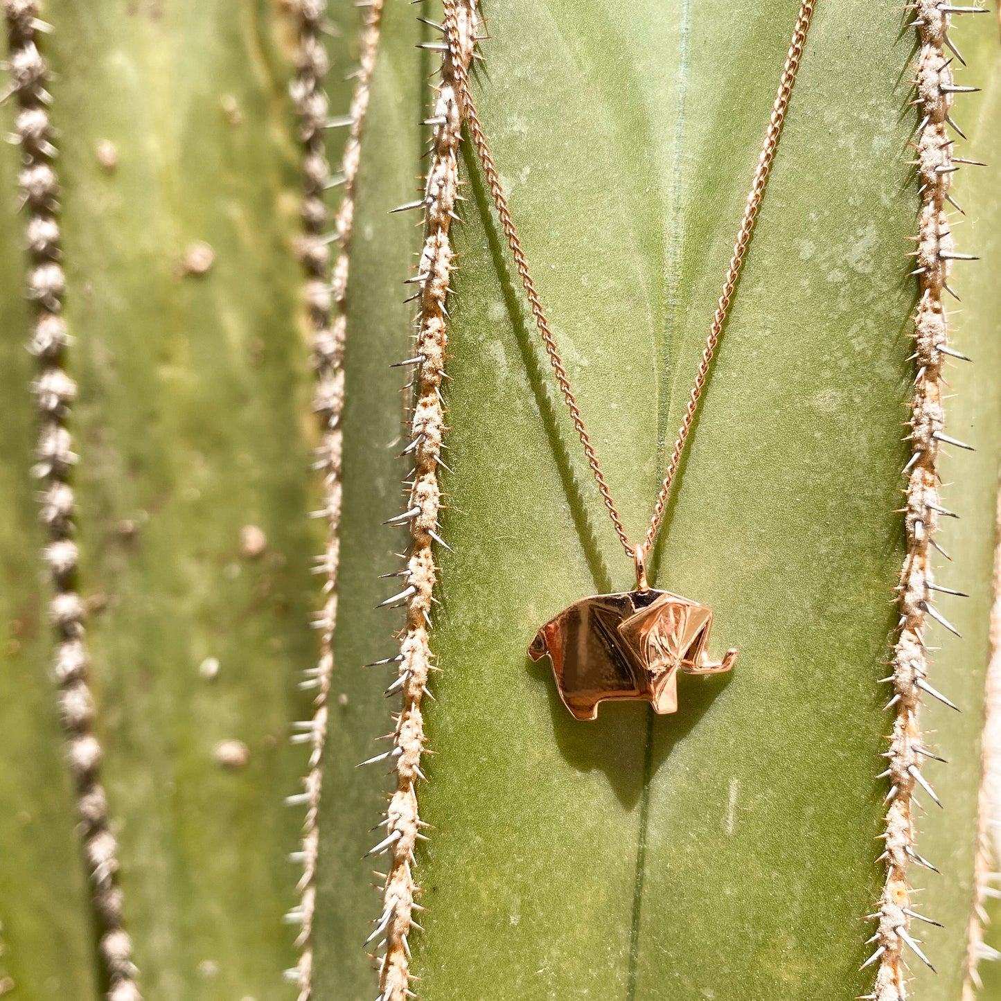 Collar Elefante Dorado en un cactus