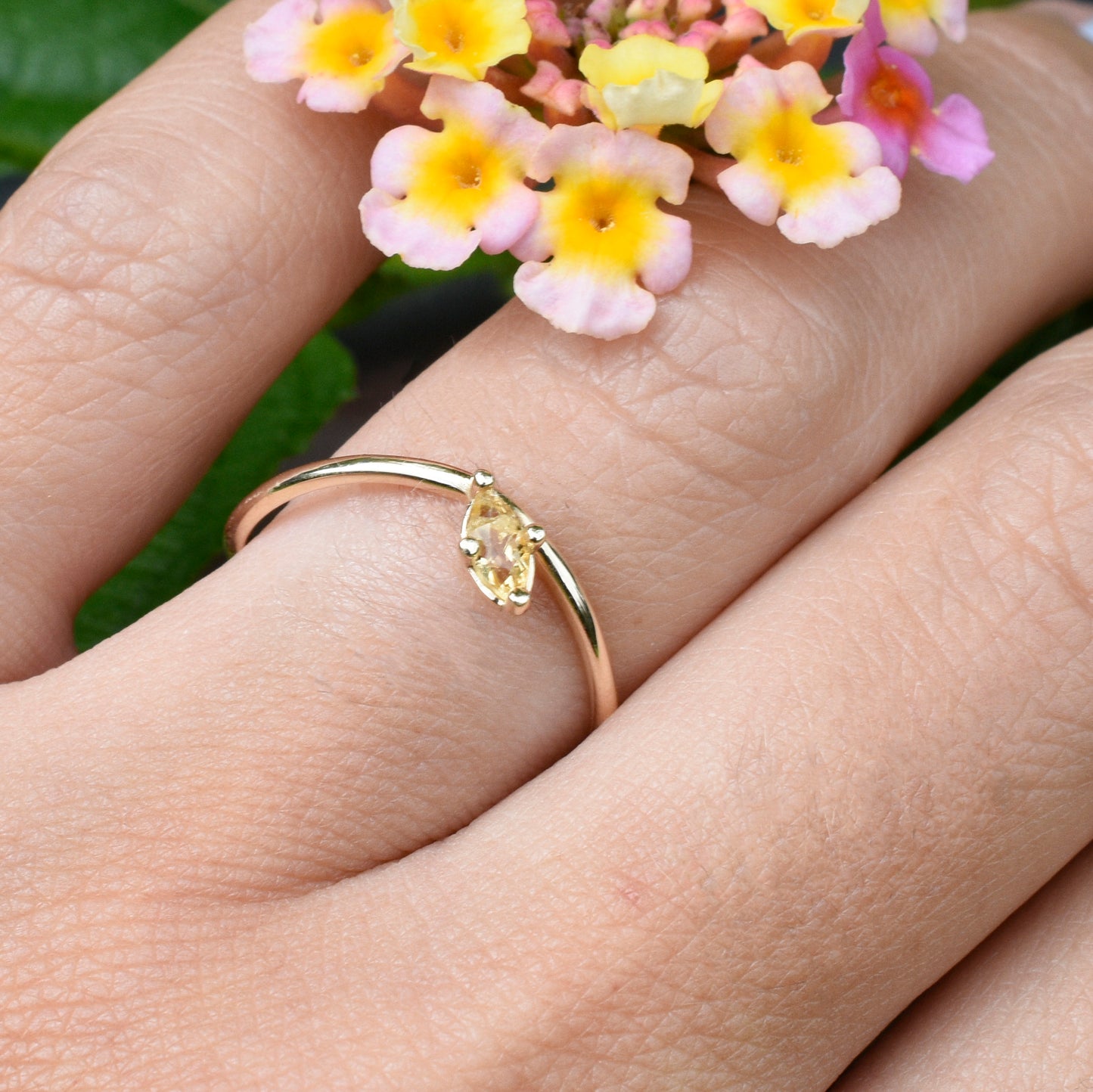 Anillo Marquis