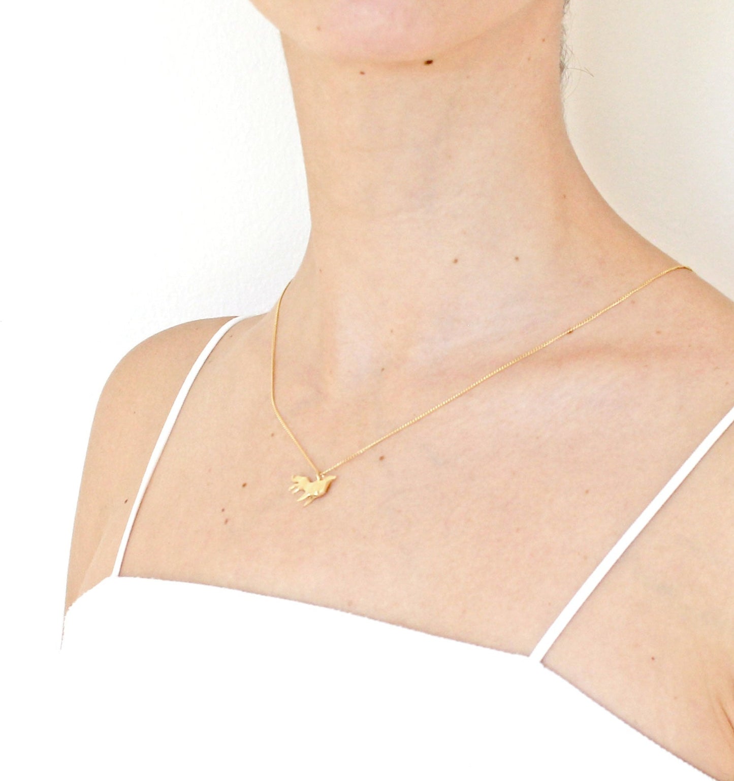 collar lobo dorado en modelo