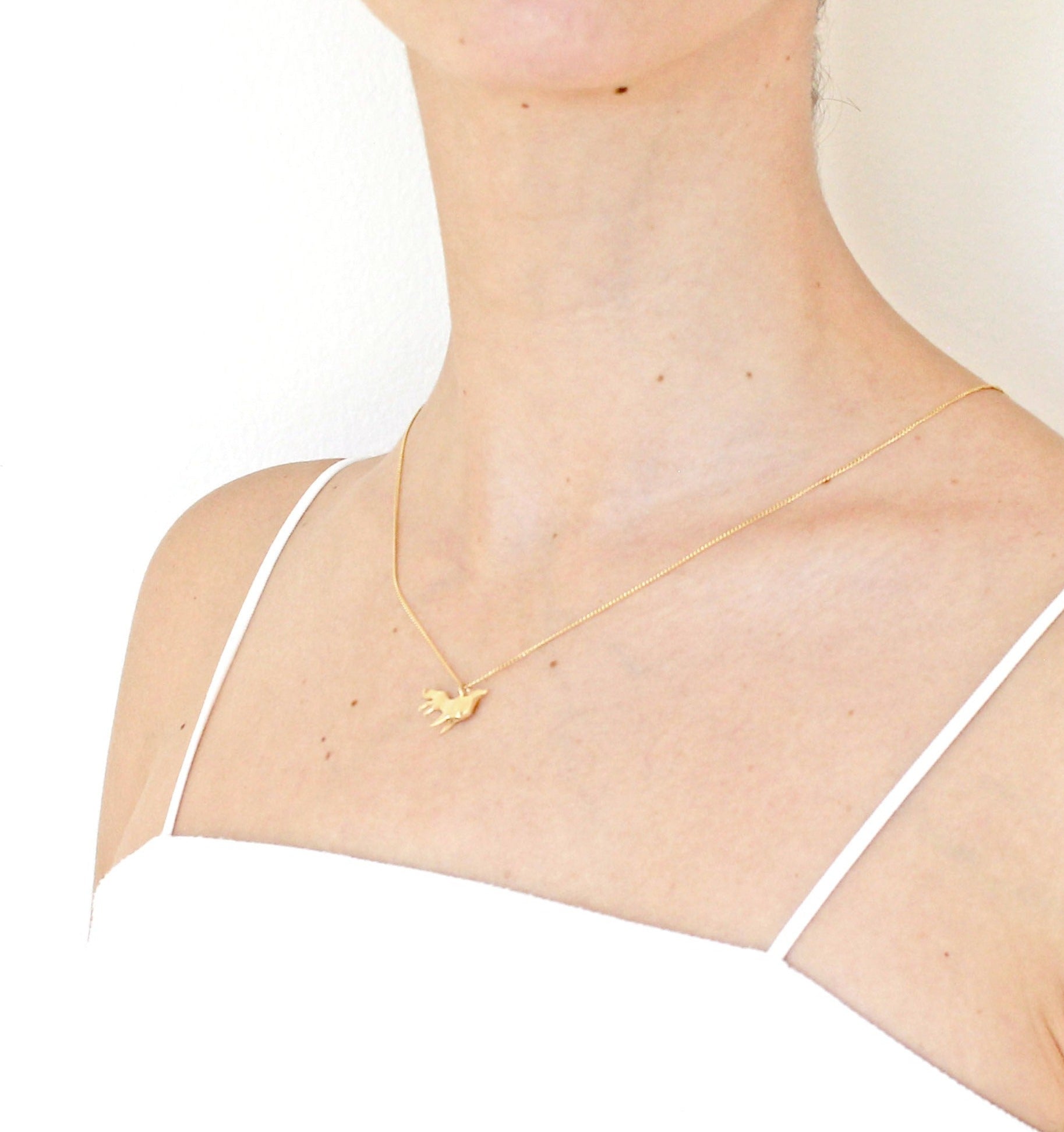collar lobo dorado en modelo