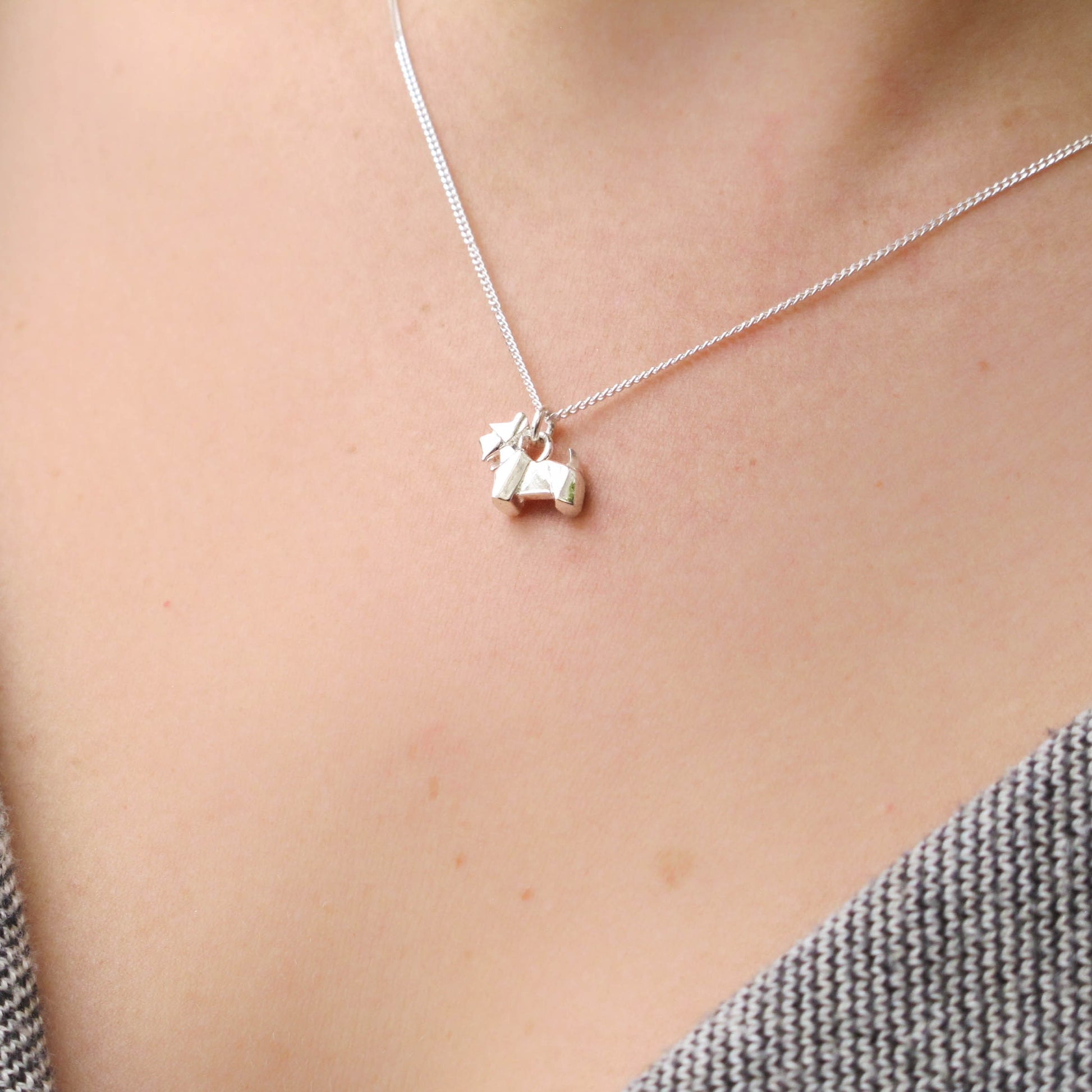 Collar schnauzer plata en uso